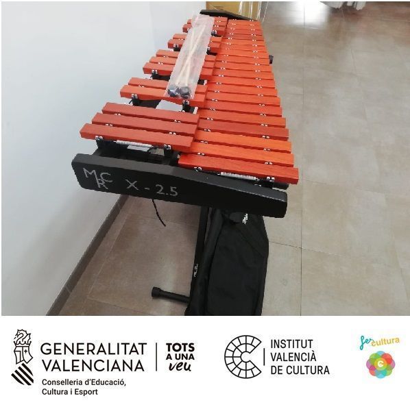 L’ Escola de Música de la Societat Musical d’ Algemesí rep una ajuda per a la compra de quatre xilòfons